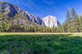 Landscape of meadow, forest and mountains in Yosemite NP Royalty Free Stock Photo