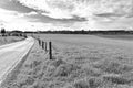 Landscape with meadow and pasture Royalty Free Stock Photo