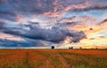 Landscape of meadow sunset, countryside Royalty Free Stock Photo