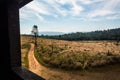 Landscape of Meadow with tree , Khao Yai National Park Thailan