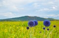 Landscape with meadows and hills Royalty Free Stock Photo