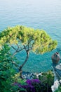 Landscape mediterranean , Italy.
