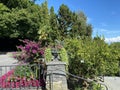 Landscape of the Mediterrannean Terrace or Mediterran-Terrassen - Flower Island Mainau on the Lake Constance or Die Blumeninsel