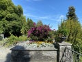 Landscape of the Mediterrannean Terrace or Mediterran-Terrassen - Flower Island Mainau on the Lake Constance or Die Blumeninsel