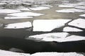 Landscape with melting broken ice floes floating on the river