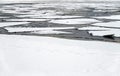 Landscape with melting broken ice floes floating on the river till horizon