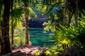 Landscape in the Mexican jungle. Beautiful mexican Jardin Del Eden Cenote with turquoise water and jungle plants