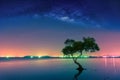 Landscape with Milky way galaxy. Night sky with stars and silhouette mangrove tree in sea. Long exposure photograph. Royalty Free Stock Photo