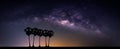 Landscape with Milky way galaxy. Night sky with stars and silhouette coconut palm tree on the mountain. Long exposure photograph. Royalty Free Stock Photo