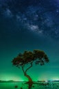 Landscape with Milky way galaxy. Night sky with stars and silhouette mangrove tree in sea. Long exposure photograph. Royalty Free Stock Photo