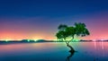 Landscape with Milky way galaxy. Night sky with stars and silhouette mangrove tree in sea. Long exposure photograph Royalty Free Stock Photo