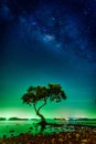 Landscape with Milky way galaxy. Night sky with stars and silhouette mangrove tree in sea. Long exposure photograph Royalty Free Stock Photo