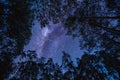 Landscape with Milky way galaxy over tree. Night sky with stars. Long exposure photograph Royalty Free Stock Photo