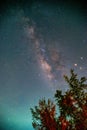 Landscape with Milky way galaxy over tree. Night sky with stars. Long exposure photograph Royalty Free Stock Photo