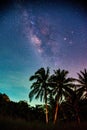 Landscape with Milky way galaxy over tree. Night sky with stars. Long exposure photograph Royalty Free Stock Photo