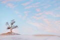 Landscape in a minimalistic style. Lonely tree against the background of gentle pink dawn clouds