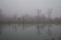 Landscape with misty morning fog in the Forest Lake or Beautiful forest lake in the morning at winter time. Azerbaijan nature. Royalty Free Stock Photo