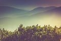 Landscape of misty mountain hills covered by forest. Royalty Free Stock Photo