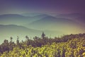 Landscape of misty mountain hills covered by forest. Royalty Free Stock Photo