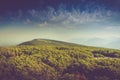 Landscape of misty mountain hills covered by forest. Royalty Free Stock Photo