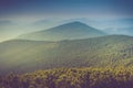 Landscape of misty mountain hills covered by forest. Royalty Free Stock Photo