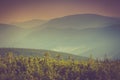 Landscape of misty mountain hills covered by forest. Royalty Free Stock Photo