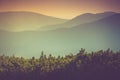 Landscape of misty mountain hills covered by forest. Royalty Free Stock Photo