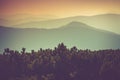 Landscape of misty mountain hills covered by forest. Royalty Free Stock Photo