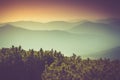 Landscape of misty mountain hills covered by forest. Royalty Free Stock Photo