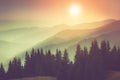 Landscape of misty mountain hills and forest. Fantastic evening glowing by sunlight. Royalty Free Stock Photo
