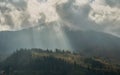 Landscape of misty mountain among low clouds with sun rays over forest Royalty Free Stock Photo