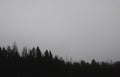 Landscape misty panorama