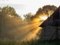 Landscape of Misty sunrise morning in the golden hour in the countryside. View on old barn surounded with grassy field and meadow Royalty Free Stock Photo