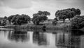 Landscape, Monochrome, reflection, trees, lake, BlackandWhite