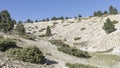 Landscape Mont Ventoux in the sunshine Royalty Free Stock Photo