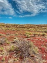 Landscape of MontaÃ±a Pelada Natural Reserve on a sunny day Royalty Free Stock Photo