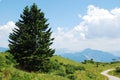 Landscape on Monte Zoncolan