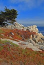 Landscape of Monterey 17 Mile Drive, California