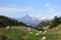 Landscape with the Monviso mountain