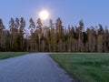 Landscape with moon jump over trees and road