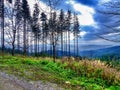 Landscape in Moravian-Silesian Beskids in northern Czechia Royalty Free Stock Photo