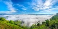 Landscape morning fog covered the valley