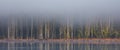 Landscape with morning fog in the forest lake in black and white. Scenic view of lake in foggy weather Royalty Free Stock Photo