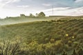 Landscape with morning fog Royalty Free Stock Photo