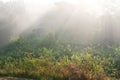 Landscape of morning misty