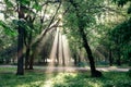 A landscape with a morning park and sun rays making their way through clouds and leaves in the trees.