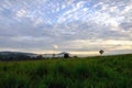 Landscape morning sunrise at Thung Salang Luang National Park Ph Royalty Free Stock Photo