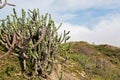 Landscape of Mount Abu, located in the district of Rajasthan state in western India, near the border with Gujarat. Royalty Free Stock Photo