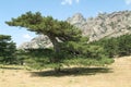 Landscape of mount Bavella on the island of Corsica