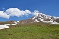 Landscape of Mount Damavand green fields , Iran